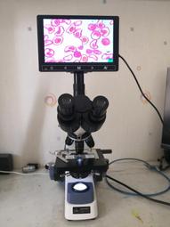 議價出售三目麥克奧迪顯微鏡Ba400          外觀成色新，個頭大分量重，操作順暢，皮實耐用！一對大口徑30毫 歷史價格詳細信息
