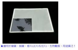 LED超薄燈箱/看X光片燈箱/X光片專用/A1尺寸62.5*89.5cm 歷史價格詳細信息