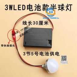 DIY創意燈籠LED燈配件10入-白光 LED燈芯燈泡 元宵燈籠 美術勞作材料(V-18-13) 歷史價格詳細信息