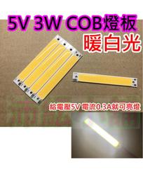 COB燈條 5V USB燈條 氣氛燈條 附開關 2米 2色可選 歷史價格詳細信息