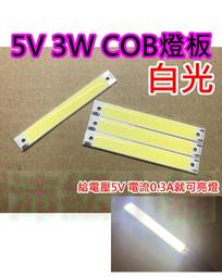 COB燈條 5V USB燈條 氣氛燈條 附開關 2米 2色可選 歷史價格詳細信息