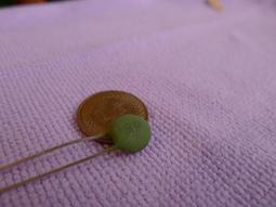 [中谷屋CB13B]  0.0047uF 50V matsushita 松下 歷史價格詳細信息