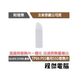 SilverStone 銀欣 TP06S SSD 一體式散熱蓋 PS5專用 /紐頓e世界 歷史價格詳細信息