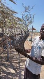 象足蓮花鈕香爐三足熏香爐仿古焚香爐家用玄關供佛禪香爐 歷史價格詳細信息