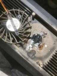 （議價出售）ap700珊瑚燈 置換價 感興趣的話點“我想要”和我私聊吧～ 歷史價格詳細信息