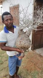 象足蓮花鈕香爐三足熏香爐仿古焚香爐家用玄關供佛禪香爐 歷史價格詳細信息