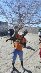 【橄欖出版】韓國小媳婦愛的逆襲 /婚姻家庭/兩性關係/跨國婚姻 歷史價格詳細信息