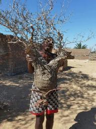 象足蓮花鈕香爐三足熏香爐仿古焚香爐家用玄關供佛禪香爐 歷史價格詳細信息