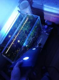 （議價出售）ap700珊瑚燈 置換價 感興趣的話點“我想要”和我私聊吧～ 歷史價格詳細信息