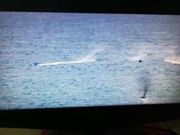 （議價出售）曰本富士通插座：1987年7月生產 正面20個座：則面四個早一期出的產品用料純音質好 規格成色如圖 一個3 歷史價格詳細信息