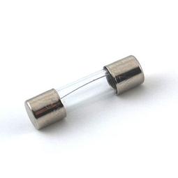 10A/250V 玻璃保險絲 保險管 5*20mm 【帶引線】（50個）  [58686-012] 歷史價格詳細信息