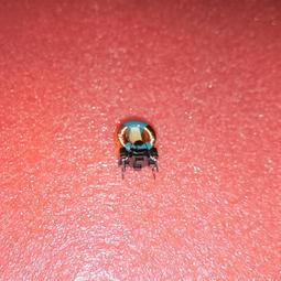 現貨!原裝emc ax4-5 axss15-600 600g 15k 005048958 0g439p服務器硬盤 歷史價格詳細信息