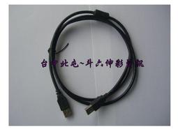 袋裝黑加侖紫植物泡泡染發劑2024爆款懶人自己在家染免漂顯白時尚染髮劑【小羊甄選】 歷史價格詳細信息