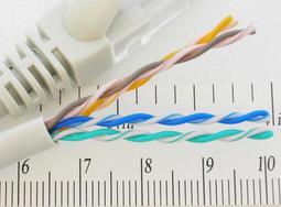 CAT.5 Cat5 CAT-5 cat5e UTP  ETL認証 網路線 20元起 水晶接頭 護套 非大同 歷史價格詳細信息