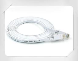 10米 CAT6扁平網路線 黑色 白色 RJ45 1000Mbps 純銅線 超薄高速網路線【歐比康】 歷史價格詳細信息
