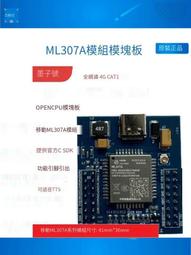 中文TTS文字轉語音播報合成模塊 單機串口機器人播放提示廣告板---議價 歷史價格詳細信息