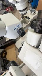 興宇昌 12v19ah 免維護鉛酸蓄 歷史價格詳細信息