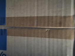 生產17頭加強型手推式鑿毛機 混凝土鑿毛機 拉毛機價格 歷史價格詳細信息