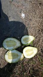 長期生產全新流水線生產線皮帶線滾筒線物流線裝配線工作檯 歷史價格詳細信息