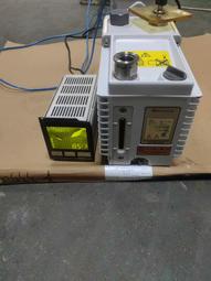 現貨1和田玉花開富貴墜飾全民拼防疫出清降價 歷史價格詳細信息