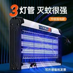 【滅蠅】雙效果蠅誘捕器 10入組 操作簡單 科學配方 快速引誘 歷史價格詳細信息