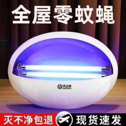 【滅蠅】雙效果蠅誘捕器 10入組 操作簡單 科學配方 快速引誘 歷史價格詳細信息