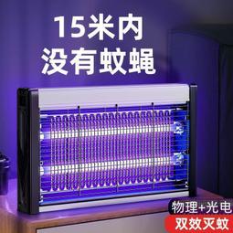 【滅蠅】雙效果蠅誘捕器 10入組 操作簡單 科學配方 快速引誘 歷史價格詳細信息