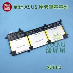 ASUS C31N1428 華碩 (原裝) ZenBook UX305LA UX305UA OB20-0145000 歷史價格詳細信息