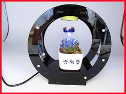 上臂式電子血壓儀 電子血壓機 血壓儀 血壓機 血壓 計 血壓測量儀 大屏顯示 可電池 可插電源 歷史價格詳細信息