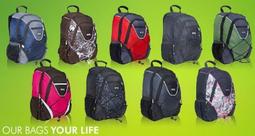 背多分 OTG 隨身碟 16 G  USB 2.0 歷史價格詳細信息