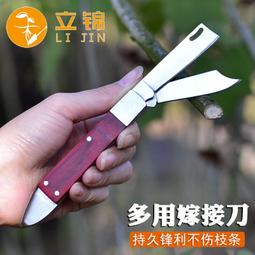 嫁接膜果樹纏繞膜嫁接專用薄膜苗木紮帶膜自粘嫁接免打結拉伸膜 歷史價格詳細信息