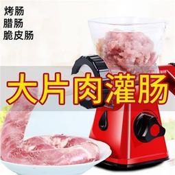 灌腸機 家用電動小型多功能全自動絞肉機 灌香腸機 碎辣椒蒜泥機 切菜切片機（銀色） 歷史價格詳細信息