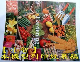 【小智】PAPER ONE B4影印紙 (新品未用 含稅出清價)70磅 歷史價格詳細信息