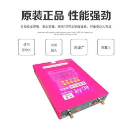 12v鋰聚合物8000mah質量好庭院太陽能路燈安防監控後備鋰 歷史價格詳細信息