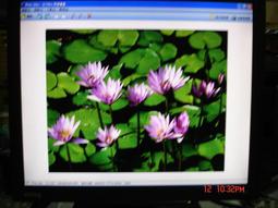 電腦螢幕維修 17.19.22 歷史價格詳細信息