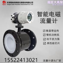 分體式電磁流量計 水泥漿廢水汙水紙漿帶通訊防腐流量計 歷史價格詳細信息