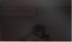 板橋江子翠&quot;全新未拆MSI GF63 12UC-654TW 贈原廠背未稅/送滑鼠背包/二年保固/現金優惠 歷史價格詳細信息