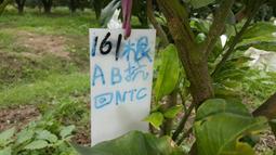 **圖片沒有更新，改賣G1**小米台灣公司貨 全省一年保固 小米 米家 小米 石頭掃地機器人 板橋 可面交 請看關於我 歷史價格詳細信息