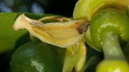 **圖片沒有更新，改賣G1**小米台灣公司貨 全省一年保固 小米 米家 小米 石頭掃地機器人 板橋 可面交 請看關於我 歷史價格詳細信息