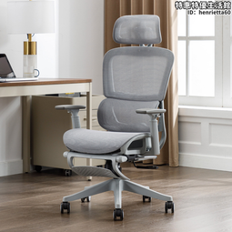 人體工學椅子電腦椅家用久坐舒適辦公椅可躺宿舍升降學習椅電競椅 歷史價格詳細信息