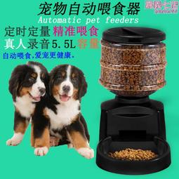 寵物可定製項圈貓項圈可調節小貓頸圈成貓項圈防丟 歷史價格詳細信息