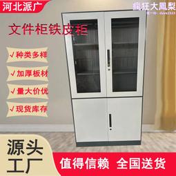 鐵皮文件櫃辦公室資料儲物櫃檔案更 矮櫃書櫃抽屜置物櫃收納櫃子 歷史價格詳細信息