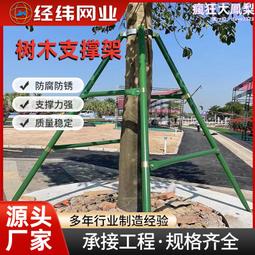 樹木教我的人生課：遇到困難時，我總是在不知不覺間，向樹木尋找答案……/禹鐘榮【城邦讀書花園】 歷史價格詳細信息