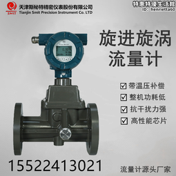 旋進旋渦流量計rs485通訊  液化氣氧氣氬氣煤層氣流量計供電 歷史價格詳細信息