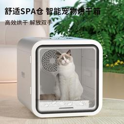 寵吹風機家用大功率藍光負離子護髮理髮店冷熱風筒小電吹風筒 歷史價格詳細信息