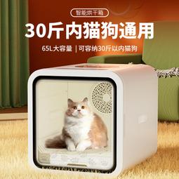 寵吹風機家用大功率藍光負離子護髮理髮店冷熱風筒小電吹風筒 歷史價格詳細信息