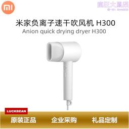 負離子便攜電吹風機h101家用摺疊吹風筒吹頭髮機 歷史價格詳細信息