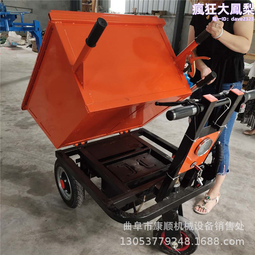 電動翻鬥垃圾提料機結構 小型鏈條上料機 水泥碳鋼單鬥提升機 歷史價格詳細信息