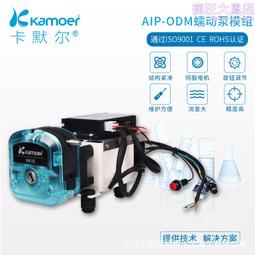 卡默爾蠕動泵 12v微型水泵自吸泵迷你小泵 24v小型直流有刷抽水泵 歷史價格詳細信息