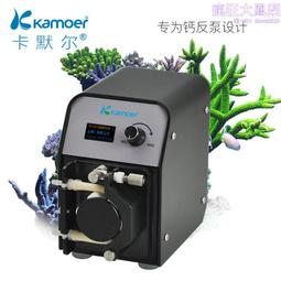 蠕動泵汙泥汙水排汙泵高揚程輸送泵顆粒 耐腐蝕軟管泵 歷史價格詳細信息